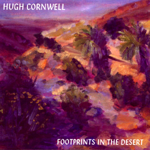 Footprints In The Desert