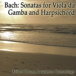 Sonata in G minor, BWV 1029: Adagio