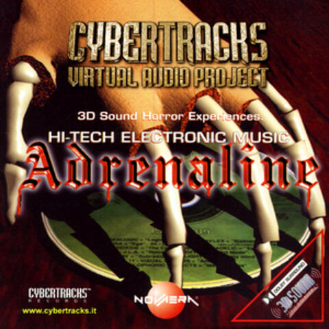 Cybertracks - Virtual Audio Project