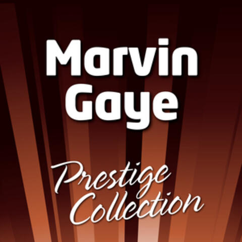 Marvin Gaye