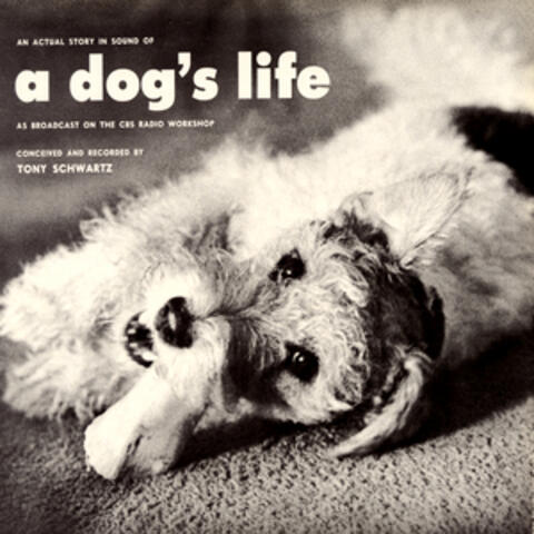An Actual Story in Sound of a Dog's Life