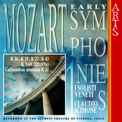 Symphony K 19 D Major: I. Allegro