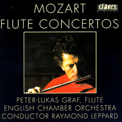 Concerto In D Major K. 314: Allegro