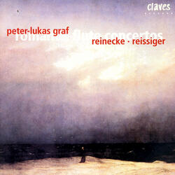Concertino In D Major For Flute & Orchestra, Op. 60: Allegro moderato