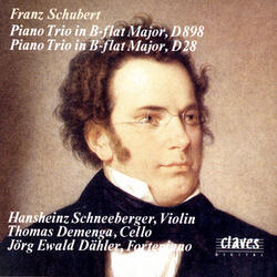 Piano Trio In B-Flat Major, Op.99, D 898: Scherzo. Allegro