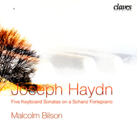 Joseph Haydn: Five Keyboard Sonatas On A Schanz Fortepiano