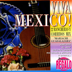 Se Me Olvido Otra Vez / Pa' Todo El Mundo / Ella / Amanecer En Tus Brazos / Tu Camino Y El Mio