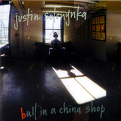 Bull In A China Shop