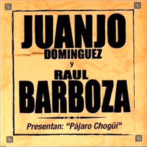 Pájaro Chogüí