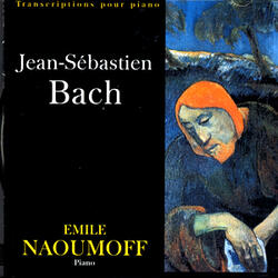 Passion Selon Saint Jean BWV 245 - Betrachte, Mein Seel' (J.S. Bach)