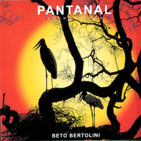 PANTANAL