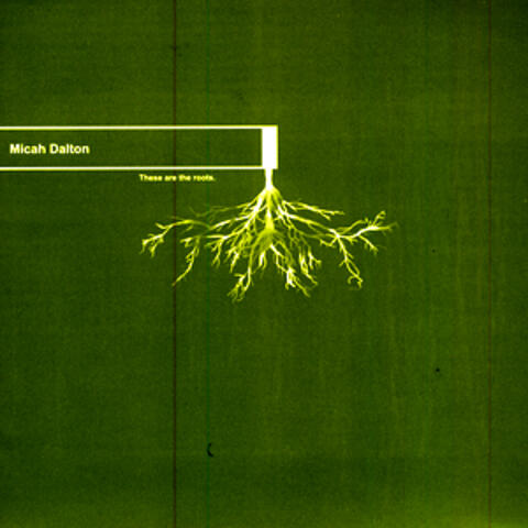 These Are The Roots