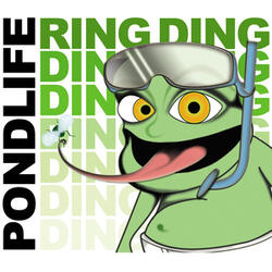 Ring Ding Ding (Tadpole Remix Edit)