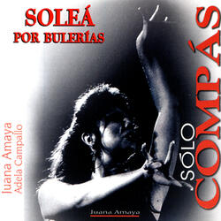 Flamenco, Soleá por Bulerias, Sólo Compás 120