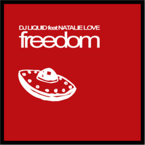 DJ Liquid & Natalie Love