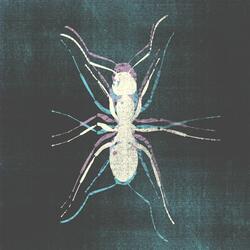 Dekeract