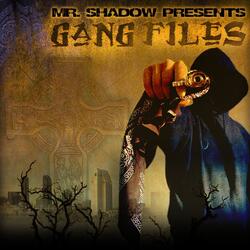 Mr. Shadow
