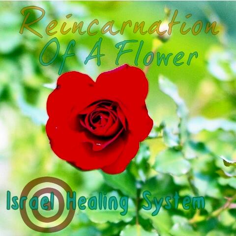 Reincarnation Of A Flower