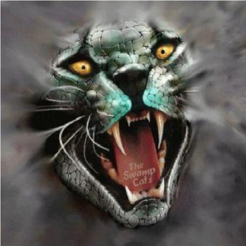 Memphis Nights & The Swamp Cats