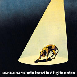 Mio fratello è figlio unico