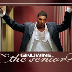 Hell Yeah (Remix featuring Birdman & Clipse)