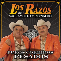 Dos Hijos De La Fregada