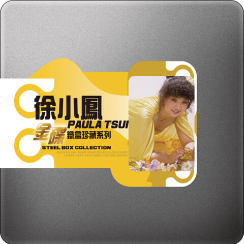Steel Box Collection - Paula Tsui