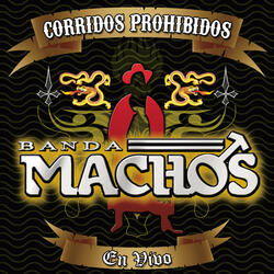 El Sonidito (Ruidito)