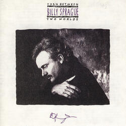 Heaven Is A Long Hello