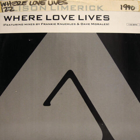 Dance Vault Mixes - Where Love Lives