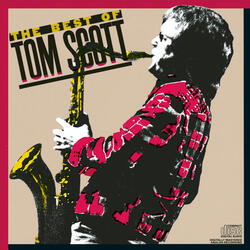 Tom Cat