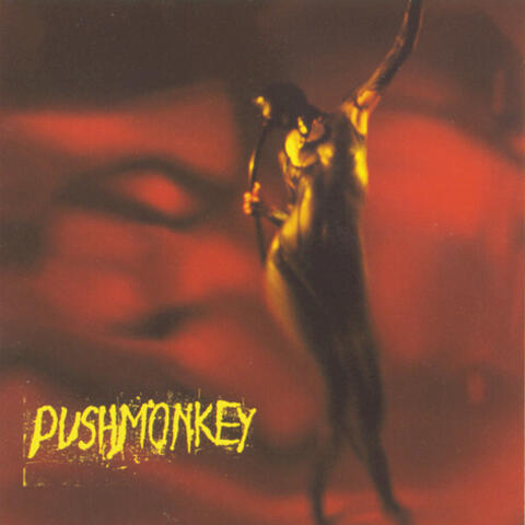 Pushmonkey