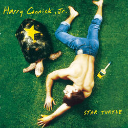 Star Turtle 4
