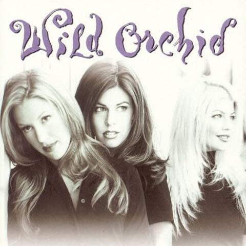 Wild Orchid