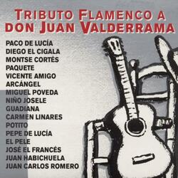 El Cantaor (Tientos)