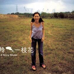 我的美麗與哀愁