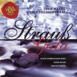 Mit Vergnügen, Polka schnell, Op. 228