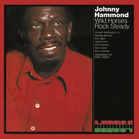 Wild Horses/Rock Steady (CTI Records 40th Anniversary Edition)