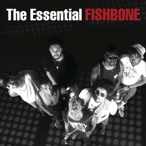 The Essential Fishbone