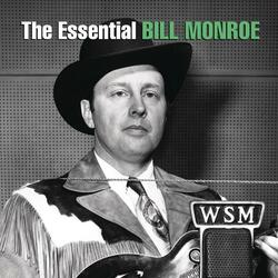 Mule Skinner Blues (Blue Yodel #8)