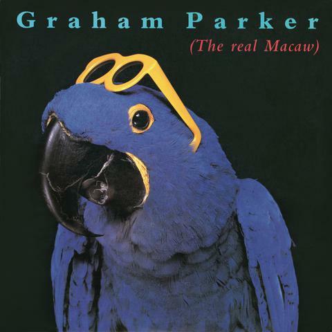The Real Macaw