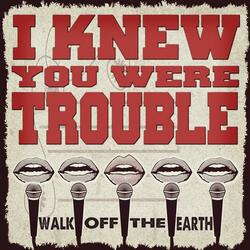 I Knew You Were Trouble