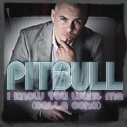 I Know You Want Me (Calle Ocho)