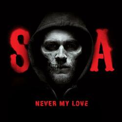 Never My Love