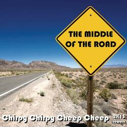 Chirpy Chirpy Cheep Cheep (2K13 Rework)
