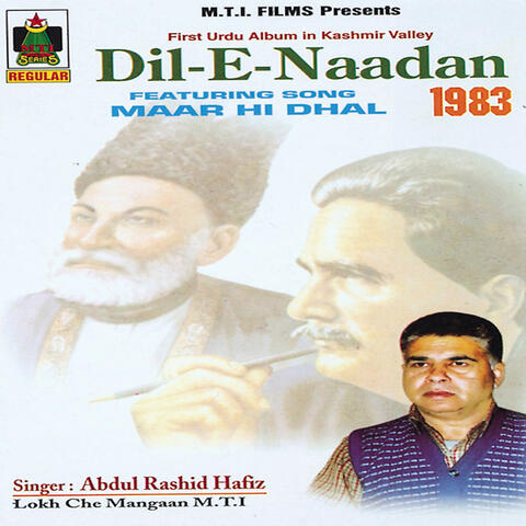 Dile-e-naadan