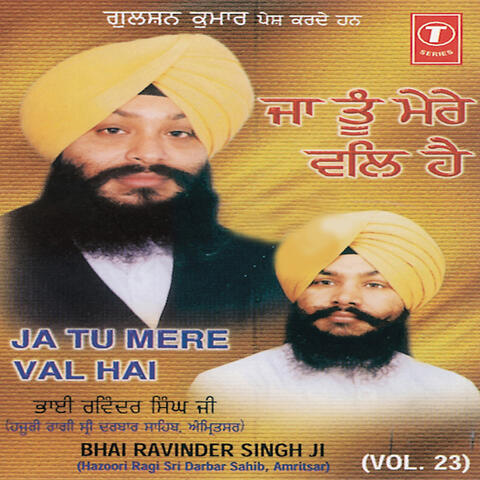Ja Tu Mere Val Hai (vol. 23)