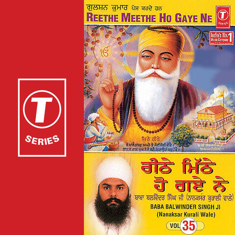 Reethe Meethe Ho Gaya Ne (vol. 35)