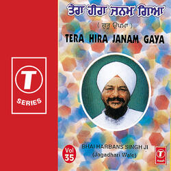 Tera Hira Janam Gaya,Tu Na Kadi Naam Japya Meriye