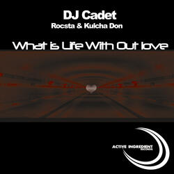 What Is Life Without Love feat. Rocsta